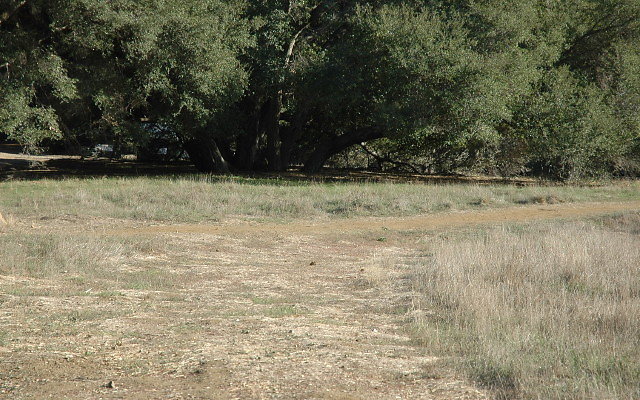 DSC 0280