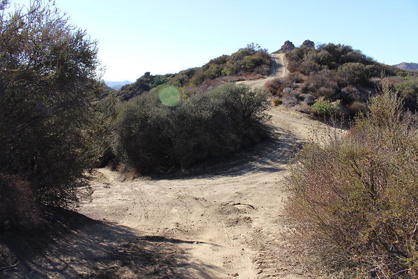 IMG 1350