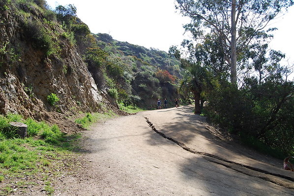 Runyon.Canyon.LA.22