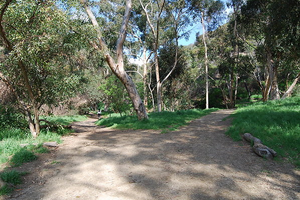 Runyon.Canyon.LA.12