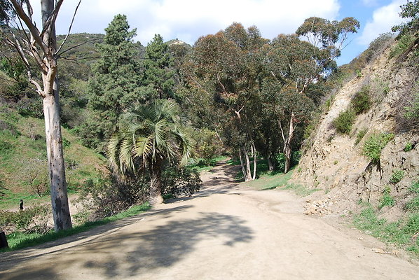 Runyon.Canyon.LA.23