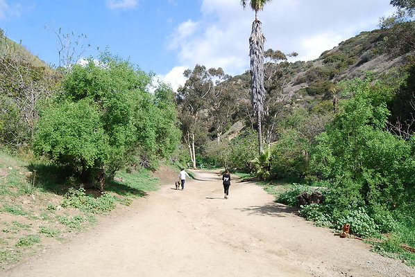 Runyon.Canyon.LA.05