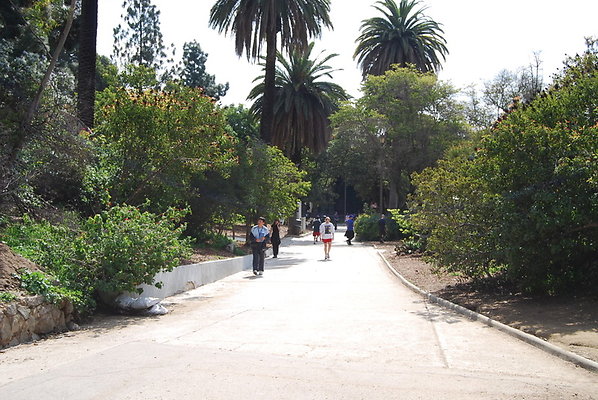 Runyon.Canyon.LA.45