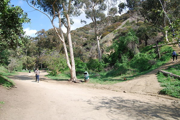 Runyon.Canyon.LA.08