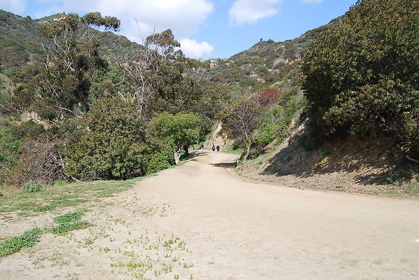Runyon.Canyon.LA.25
