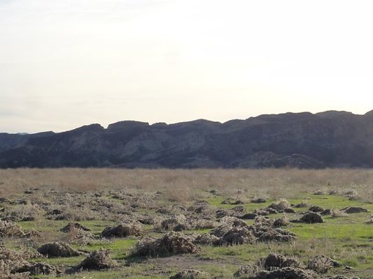 Newhall Land Lake Castaic