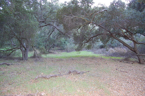DSC 0143