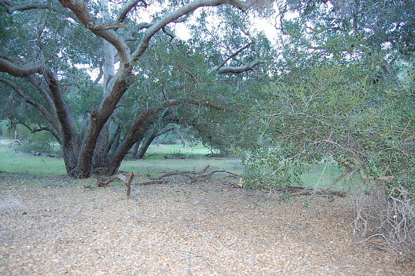 DSC 0139