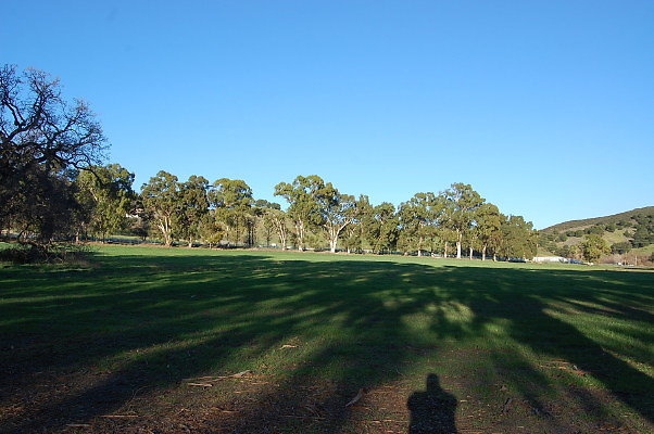 DSC 0157