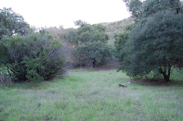 DSC 0150