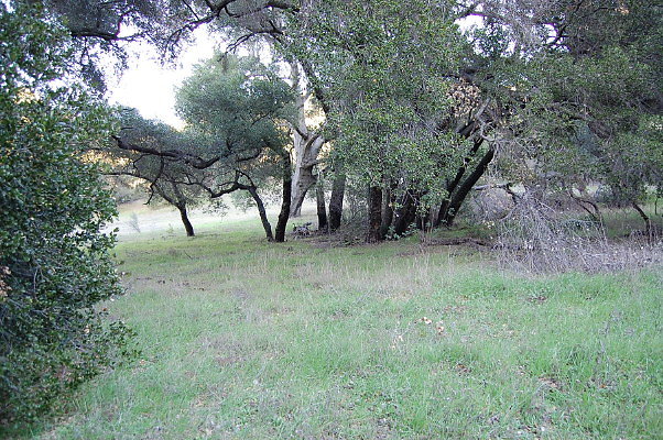 DSC 0148