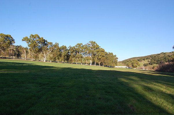 DSC 0168