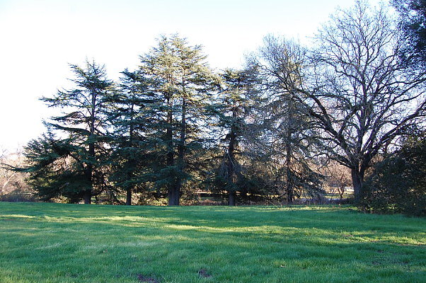 DSC 0160