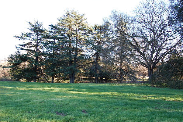 DSC 0164