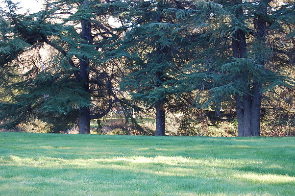 DSC 0161
