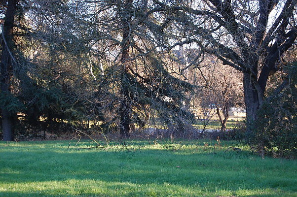 DSC 0162