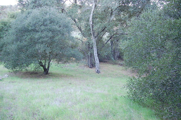 DSC 0151