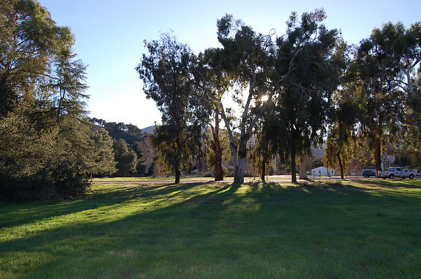 DSC 0165