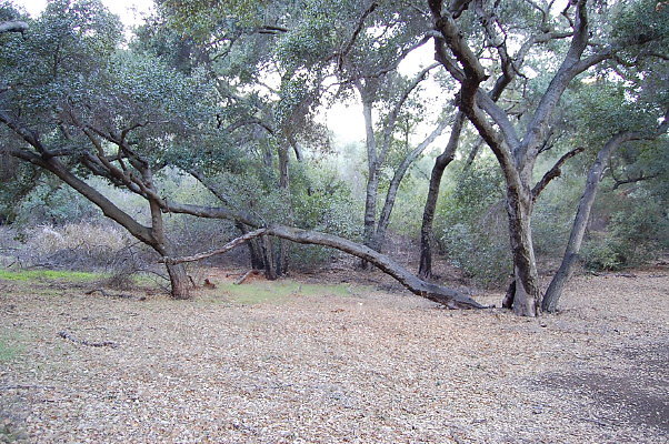 DSC 0145