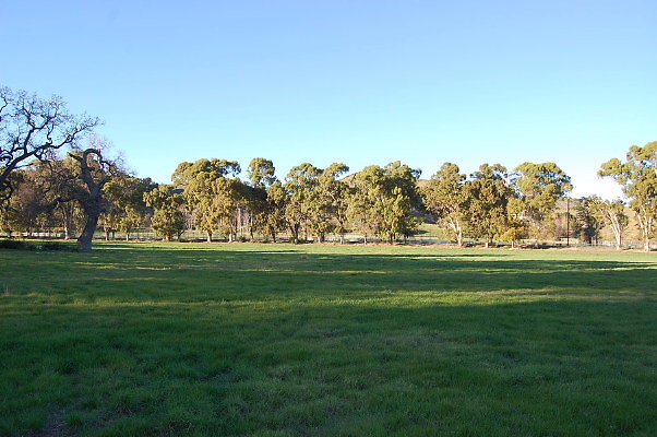DSC 0167