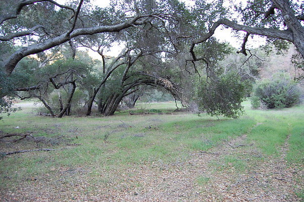 DSC 0142