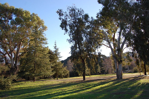 DSC 0169