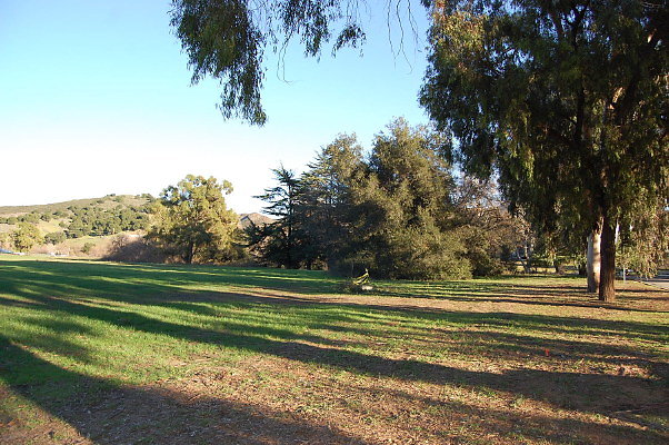 DSC 0158
