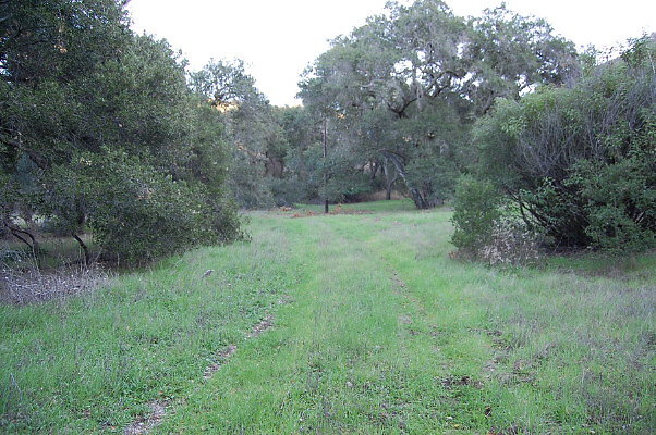 DSC 0147