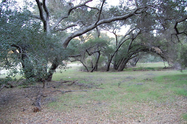 DSC 0140