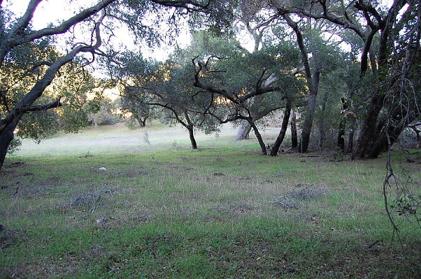 DSC 0154