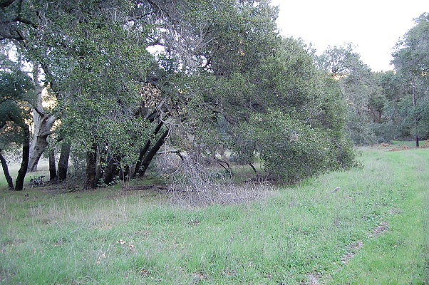 DSC 0149