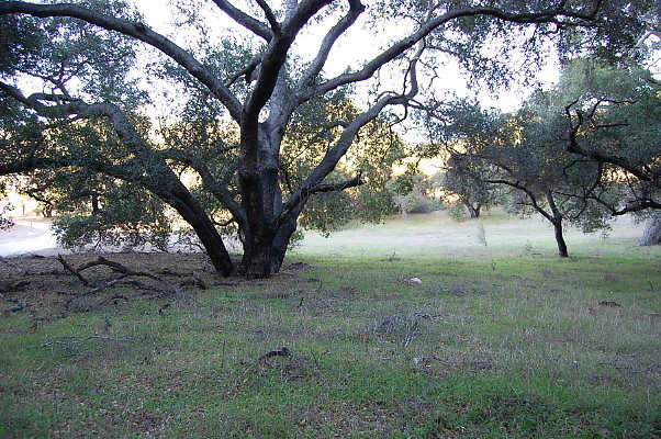 DSC 0153