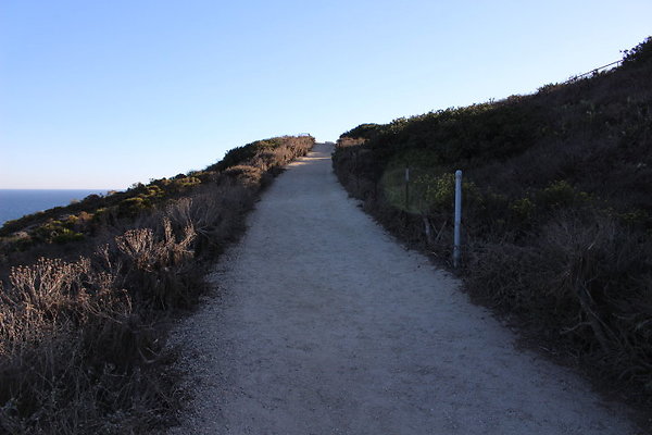 IMG 1429