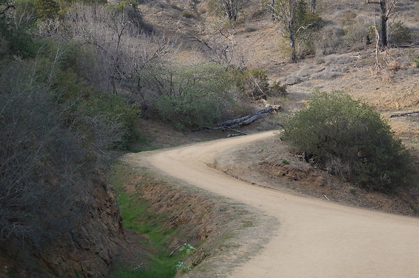 DSC07801