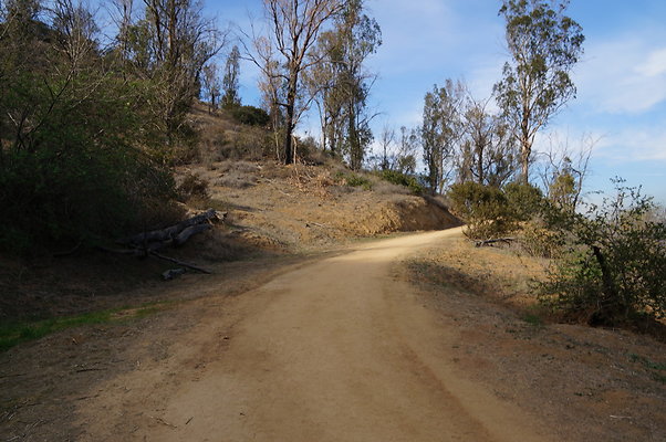 DSC07806