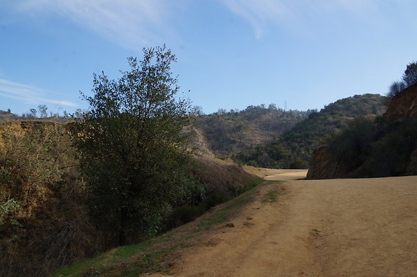 DSC07792