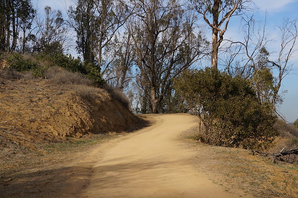 DSC07808