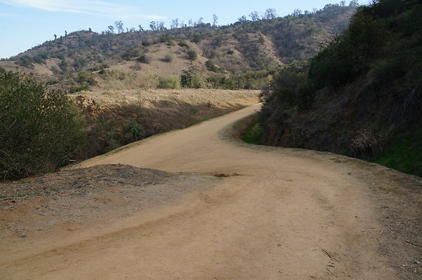 DSC07809