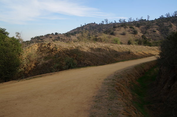 DSC07805