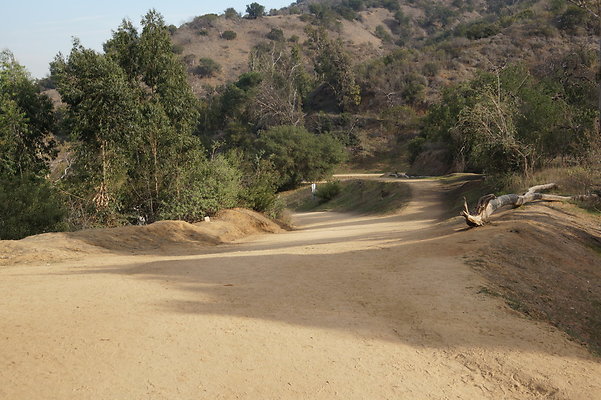 DSC07810