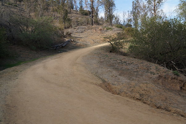 DSC07803