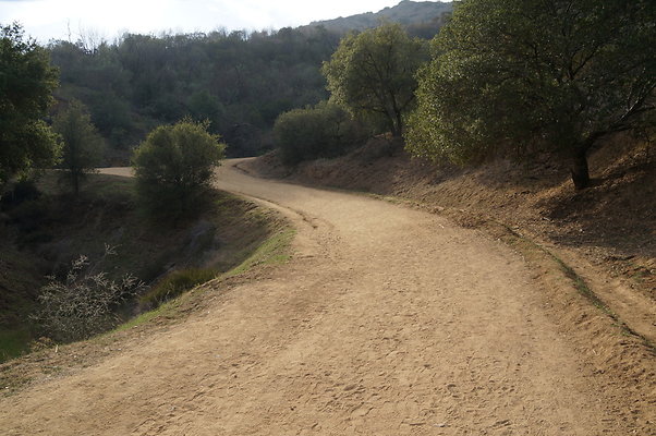DSC07791