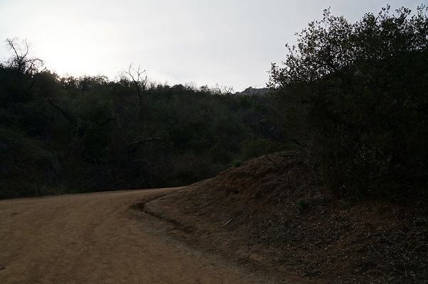 DSC07794