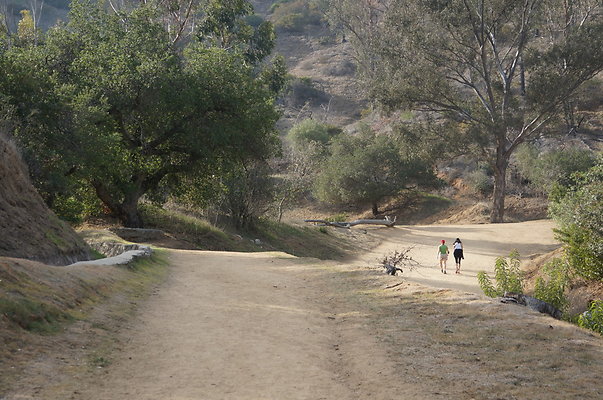 DSC07783