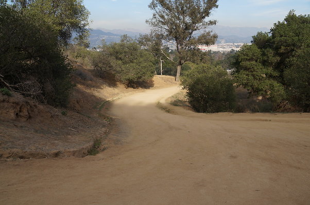 DSC07804