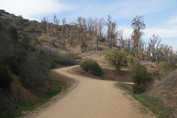 DSC07800