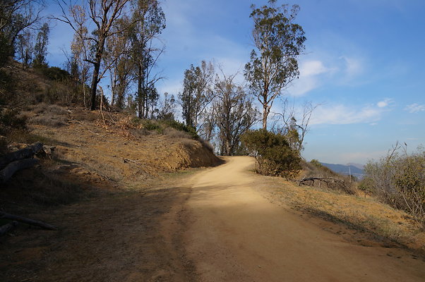 DSC07807
