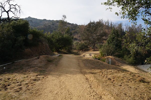 DSC07782