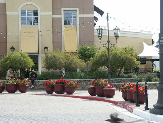 PICT0285