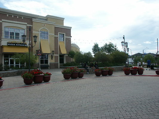 PICT0254